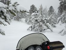 Typical conditions for the weekend