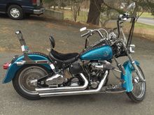 I leave the sissy bar on to strap a pack to. But I like the look without it. I've had it on and off so many times I might start using wingnuts.
