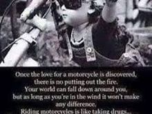 buy the harley