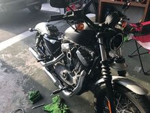 Few hours after bringing it home