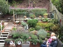 I have a cousin that lives in frisco so decided to call her up and swing by for a few moments to talk stories. Her and her husband were so sweet and we felt welcomed in their home, I would have never thought that such a back yard would exists in such a city!