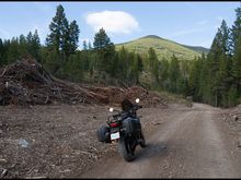 … heading up towards Mount Baker, which is just south of Cranbrook…