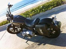HARLEY 3s