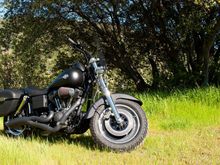 2010 Fat Bob