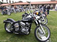 dave mann chopperfest 2011