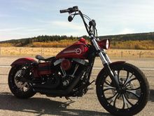 dyna