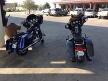Left one is mine... I miss her.