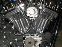 Reused OEM pushrods for cam swap, so drained removed tank to access top end. Also removed exhaust to access cam cover/cavity.