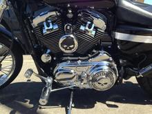 Sportster