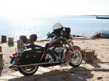 harley 001
