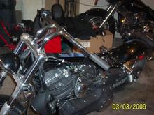 street bob 004