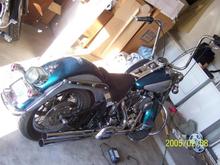 Here is the girl. She is coming along. Now I just need to finish healing to ride her, and ride her HARD!