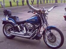 sts horns