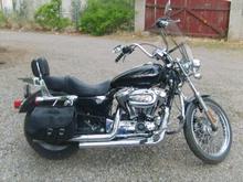 Mini Apes,Jack Daniels Timing Cover