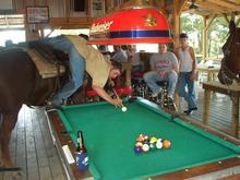 Pool on horseback.