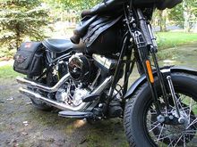 crossbones