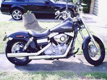 street bob 002
firt day bone stock