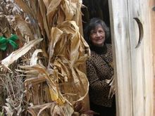 Wife in outhouse