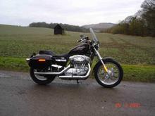 Harley Low 008