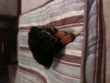 Just to cute to resist