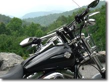 Joker Low Brows looking over the Blue Ridge