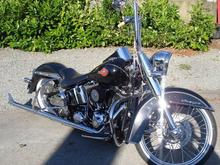 Shotgun Shock and apes.