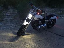 Recently bought Harley