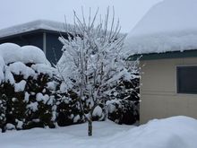 Still waiting for little more snow to disappear.