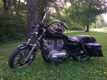 2011 HD xl883l with my homemade leather bags
