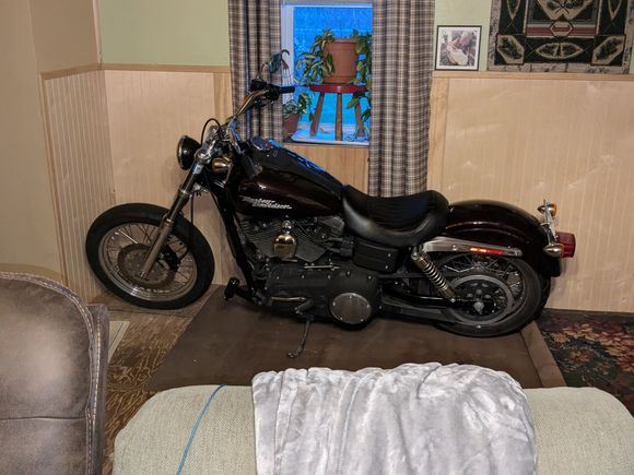 07 Dyna Street Bob tucked in for the winter