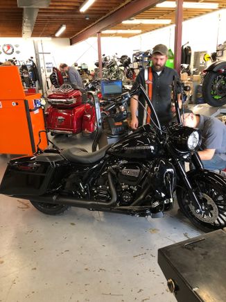 Brawler solo seat, 18” factory 47 madogger apes 