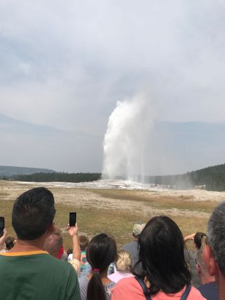 Old faithful