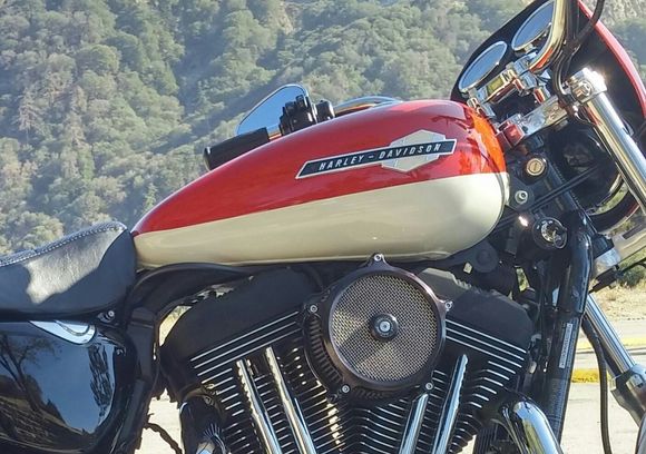 I've got these on my '08 1200R.