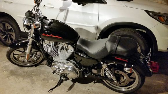 Wife's Harley Sportster 883