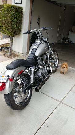 Ferocious watch dog
Will rip your leg clean off