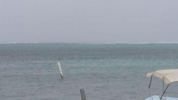Waves crashing over the reef in the distance.