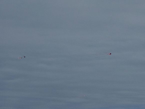 Kites. Hard to get good shots with a cell phone. These things were huge and really out there.