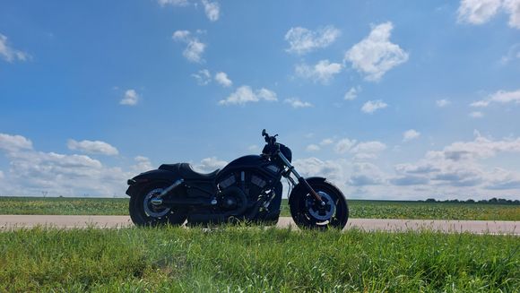 Just out and about.