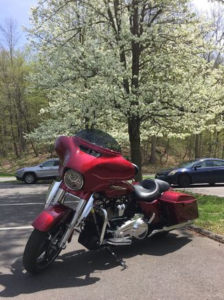 I’ve got the Fangs, the ashtray, and a 7” LRS Recurve. Love it! No buffeting at all and comfortable at ANY speed the SG can hit!