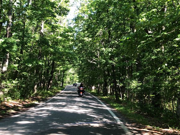 Riding the Tunnel of Trees!