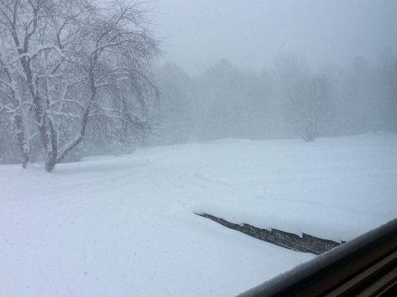 Believe it or not, I just cleared the drive a couple of hours ago!