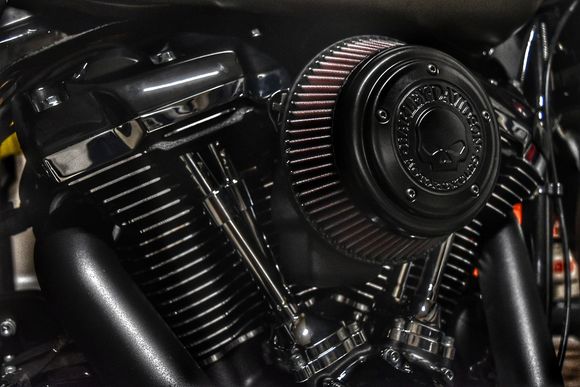 Blacked out Willie G Davidson air filter cover.
