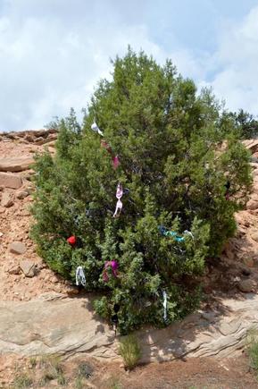 Don't know the story here but I had to get a picture.  I had actually stopped for a picture on the other side of the road and....