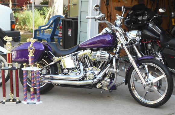 2 First in show trophies