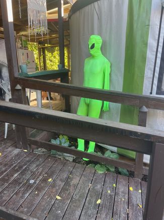 Local resident chillin' in Floyd