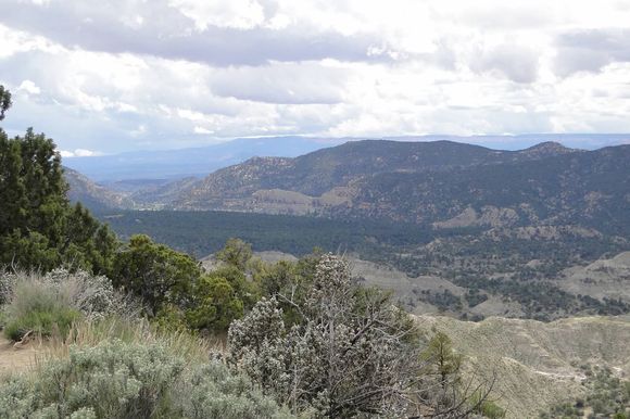 En route to Bryce Canyon NP.