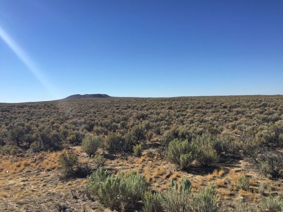 Desert. That now grows potatoes.