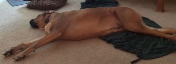 She makes them big enough the pile isn't hard to find.