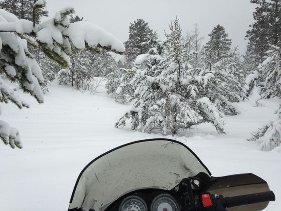 Typical conditions for the weekend