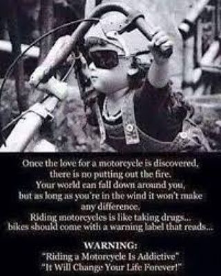 buy the harley